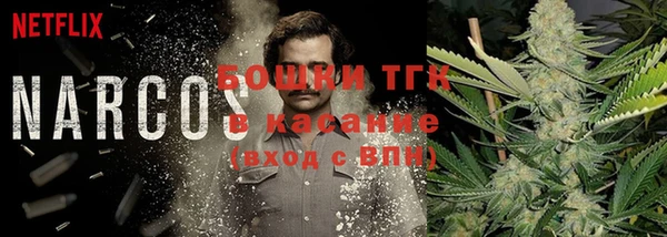 тгк Нея