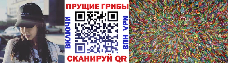 Галлюциногенные грибы Psilocybe  купить наркотики цена  Сортавала 
